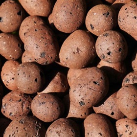 Image of Hydroton Clay Balls for Plants (10 Ltr)